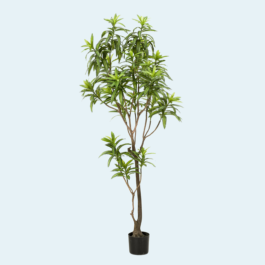 Kunstigt Dracaena træ 155-190 cm.