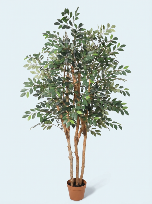 Kunstigt Ficus Benjamina Exotica træ 150 cm.