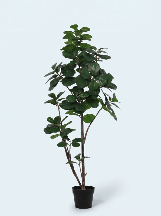 Kunstigt Ficus Lyrata, Violinfigen træ 150 cm.