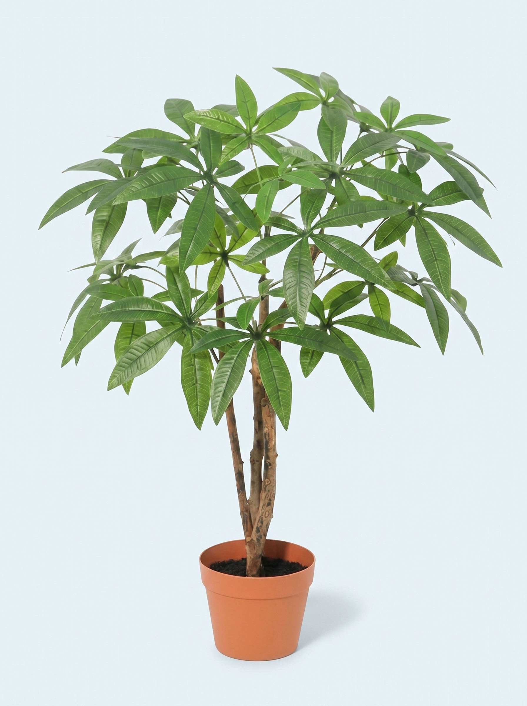 kunstig-pachira-aquatica-lykkekastanje-plante-træ-stor