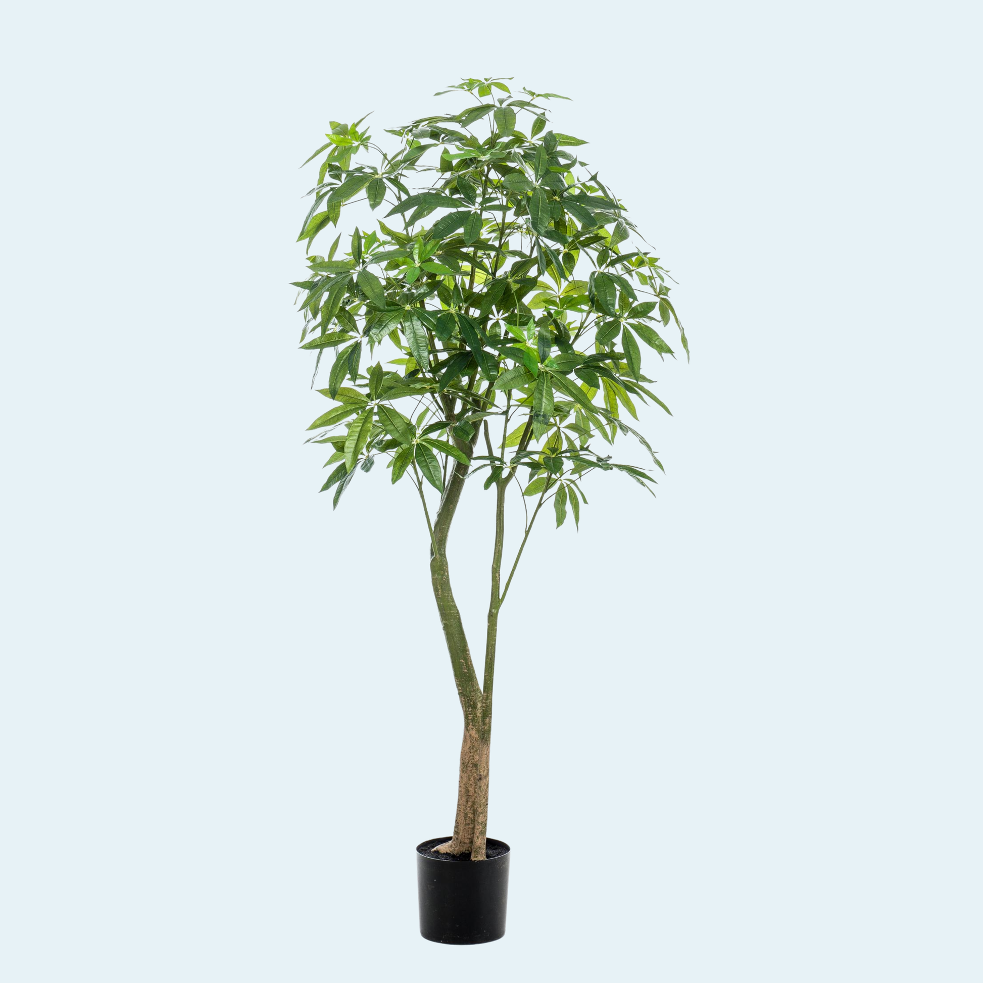kunstig-pachira-aquatica-lykkekastanje-plante-træ-køb
