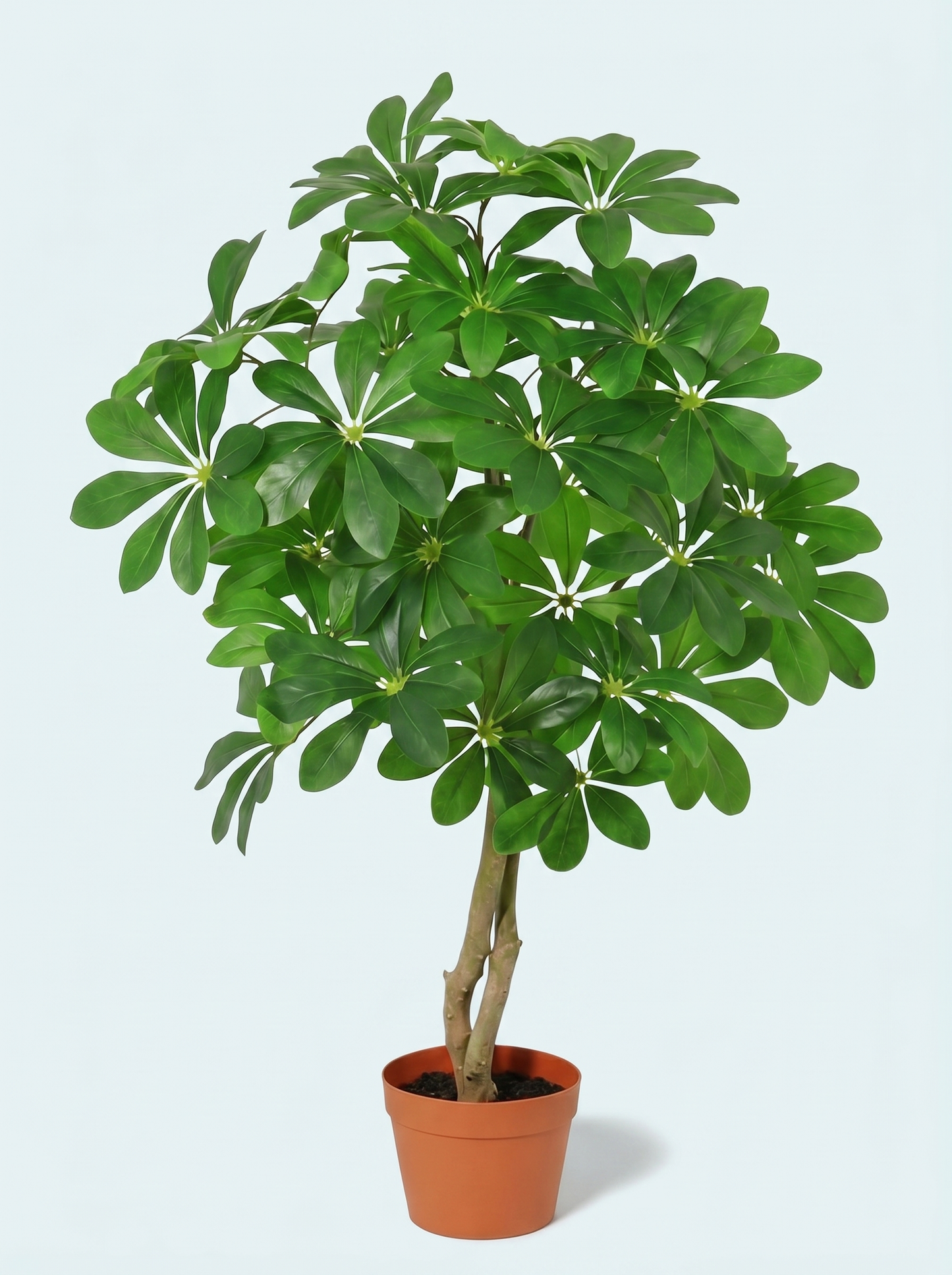 kunstig-schefflera-paraplytræ-plante-kunstig-træ-stor