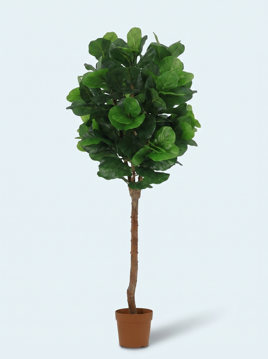 Kunstig-Violinfigen-opstammet-ficus-lyrata-plante-træ-køb