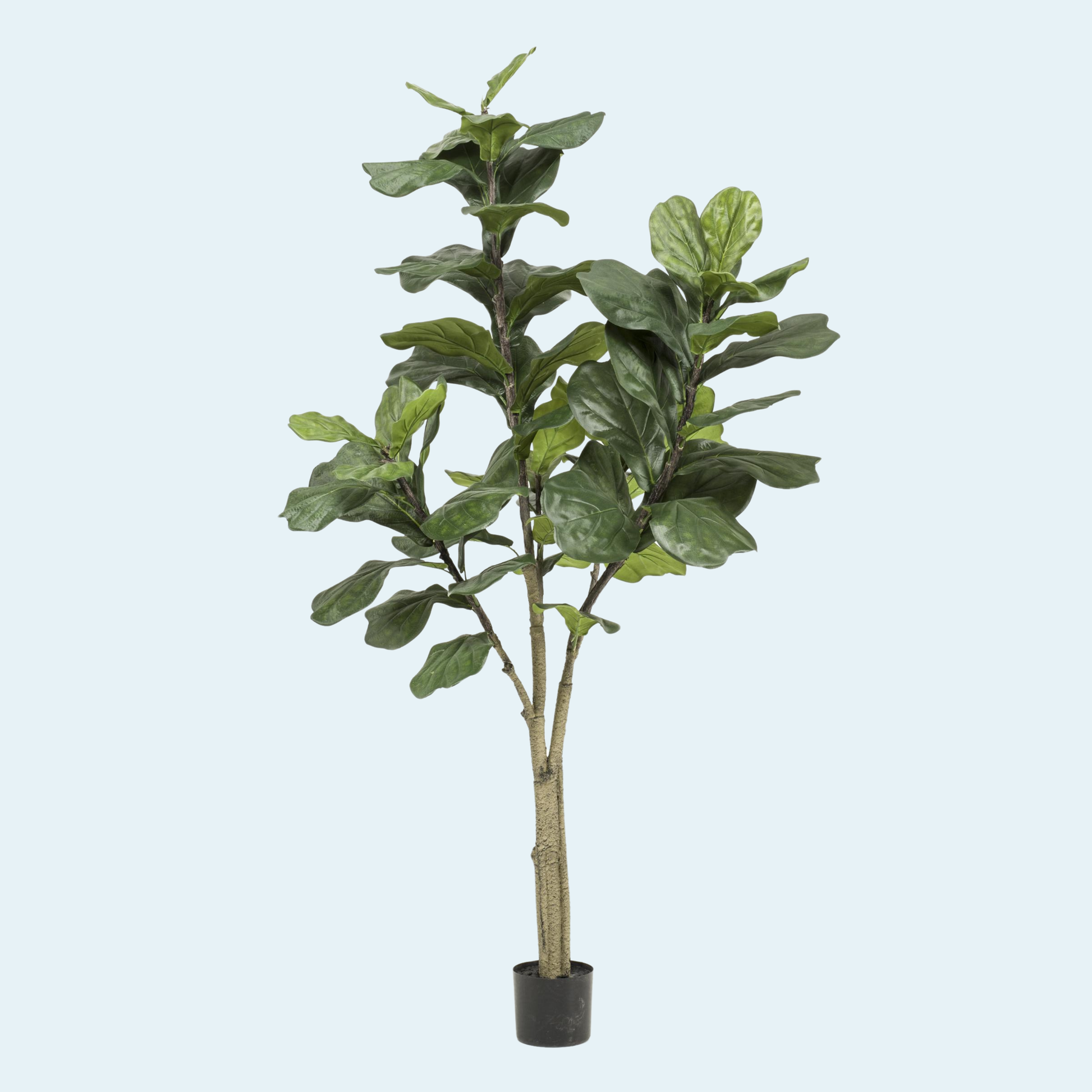 kunstig-violinfigen-ficus-lyrata-figentræ-plante-køb-stor-plante-træ