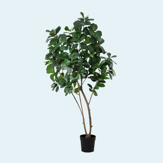Kunstigt Ficus Lyrata, Violinfigen træ 180 cm.