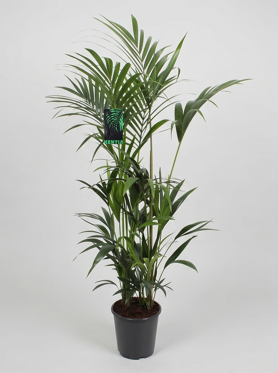 Plantepakke E