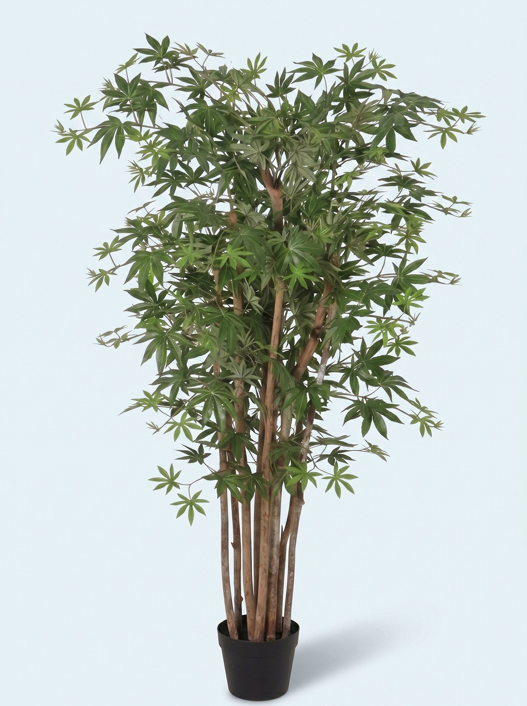 Kunstig-ahorntræ-japansk-træ-ahorn-træ-stor-plante
