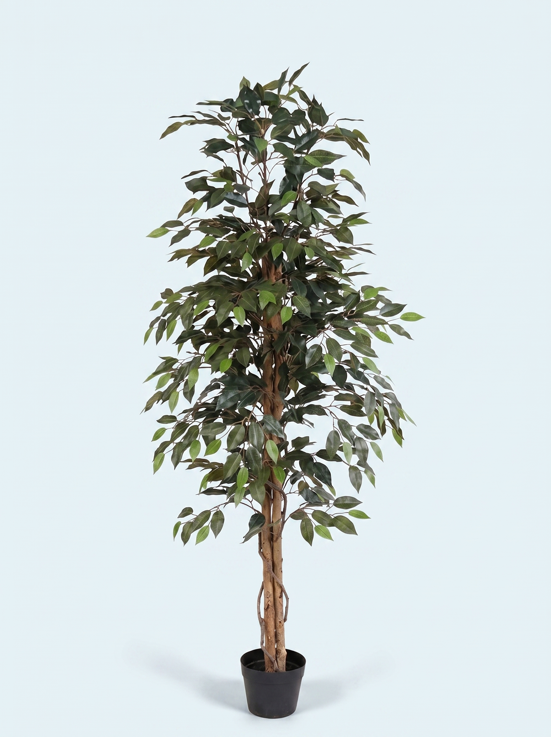 kunstig-ficus-benjamina-birkefigen-træ-plante-stor-kunstig-træ