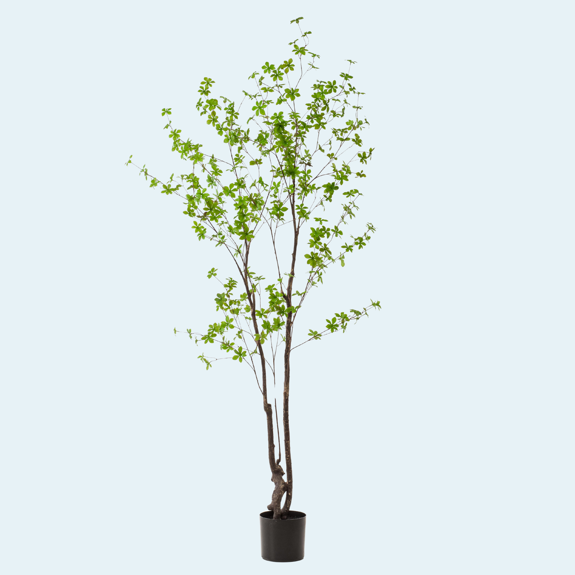 kunstig-tropaeolum-speciosum-træ-plante