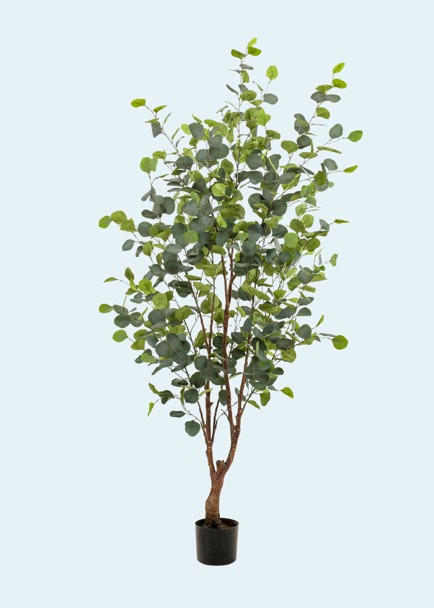 Kunstigt Eukalyptus træ 140-180 cm.