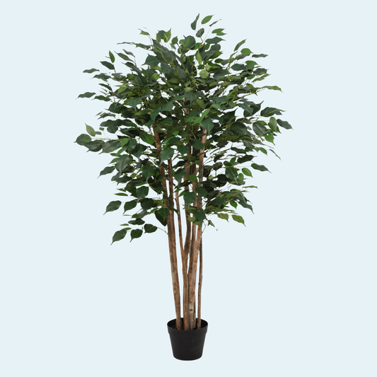 Kunstigt Ficus Benjamina plante 150 cm.