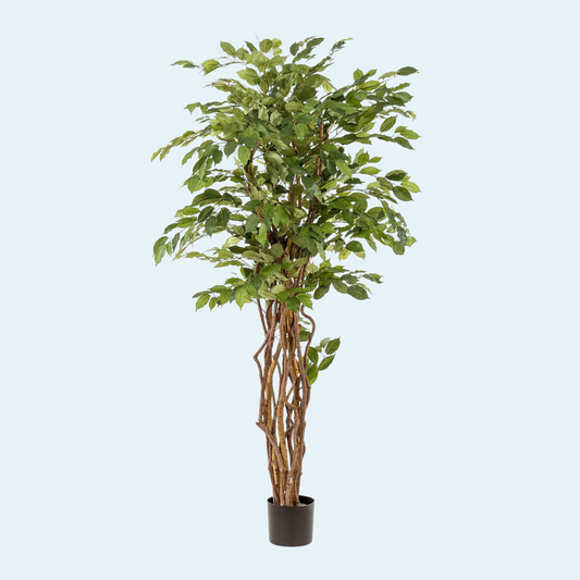 kunstig-ficus-liana-træ-plante
