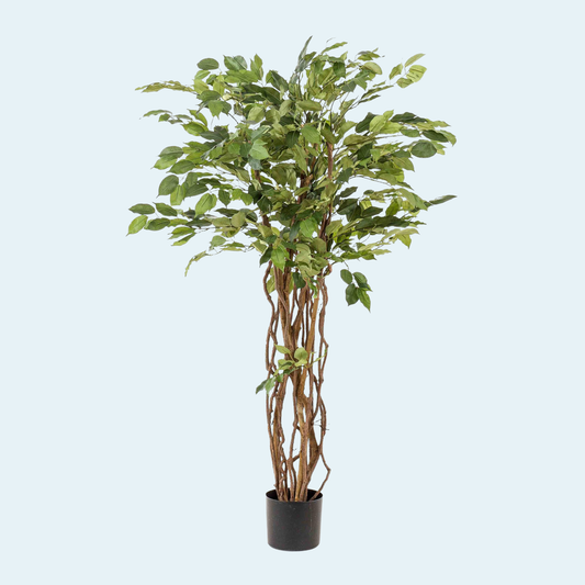 Kunstigt Ficus Liana 140 cm.