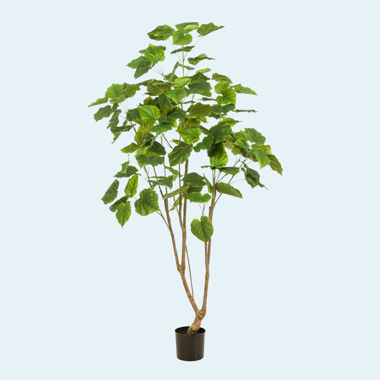 kunstig-ficus-umbellata-træ-køb-plante