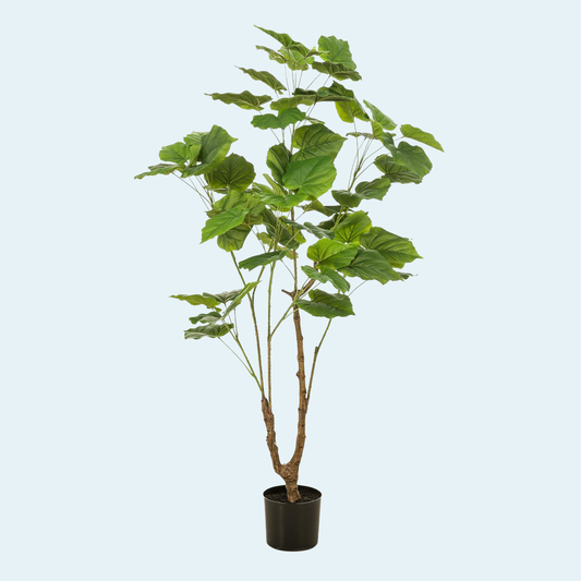 Kunstigt Ficus Umbellata plante 125 cm.