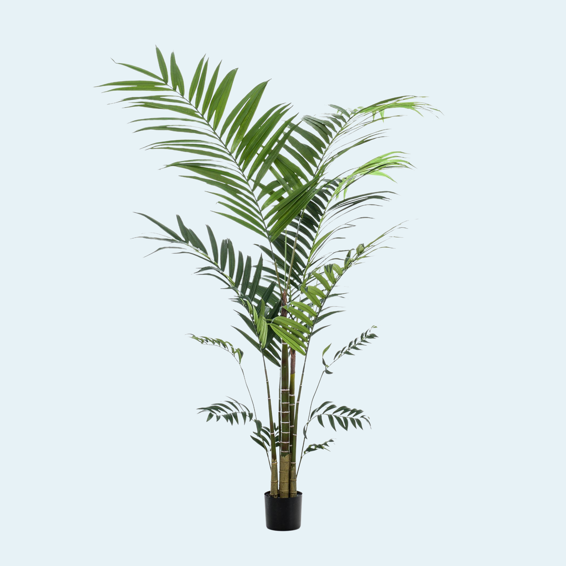 kunstig-kentia-palme-træ-stor-kunstig-palme-køb