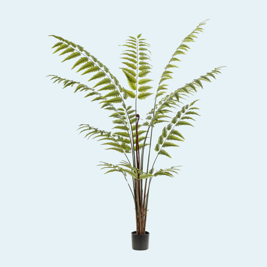 kunstig-læderbregne-rumohra-plante-træ-køb