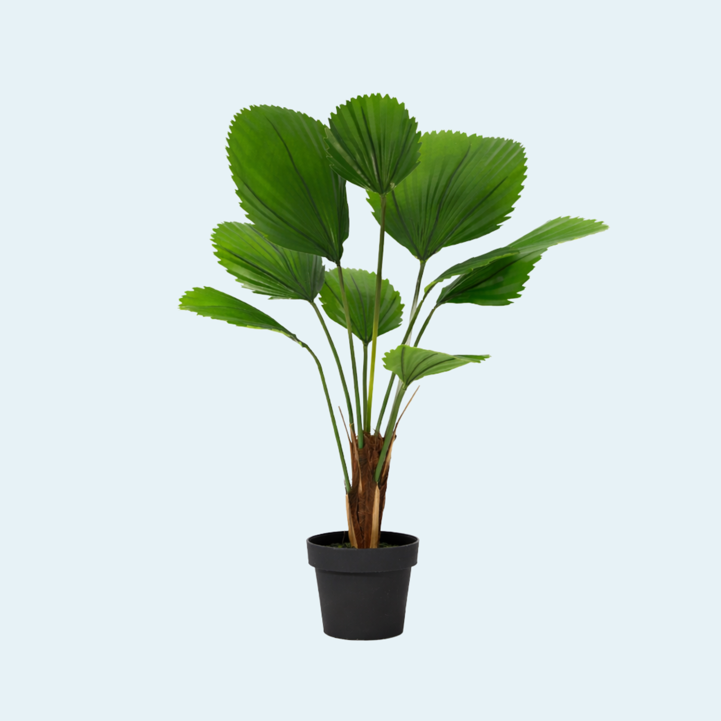 kunstig-licuala-grandis-plante-træ