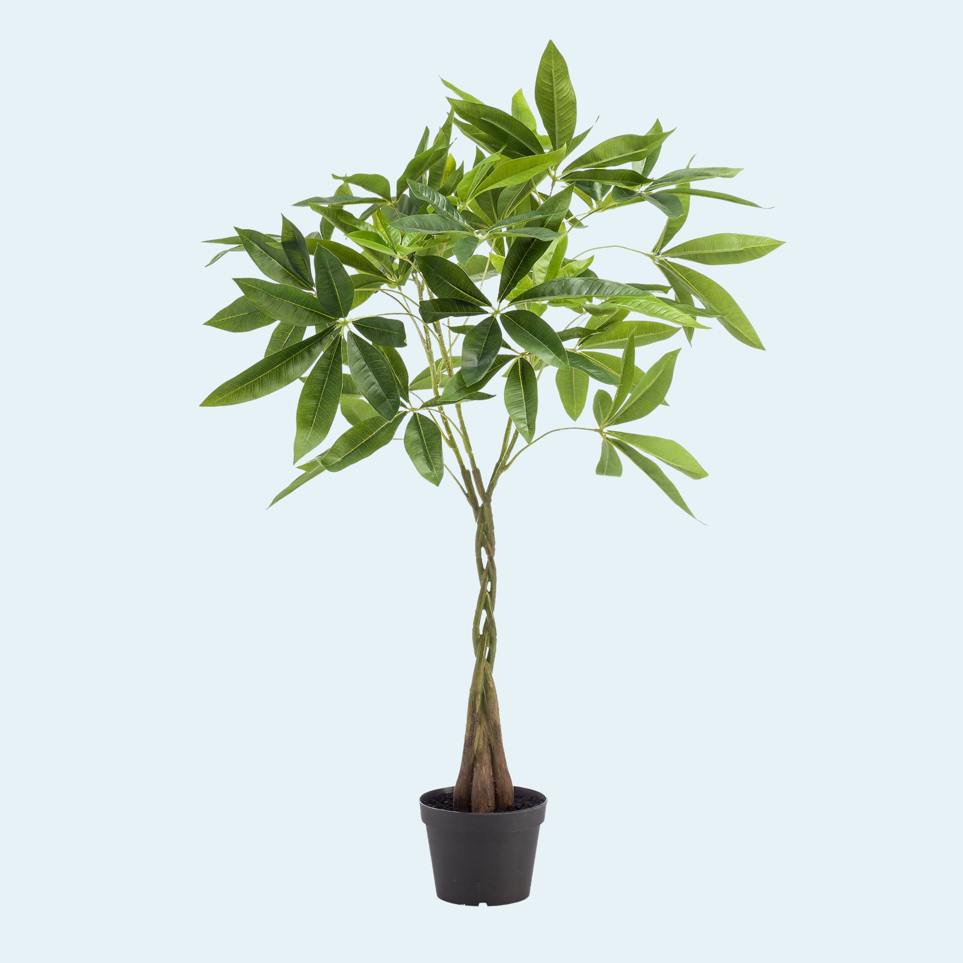kunstig-pachira-aquatica-træ-plante-køb-kunstig-lykkekastanje