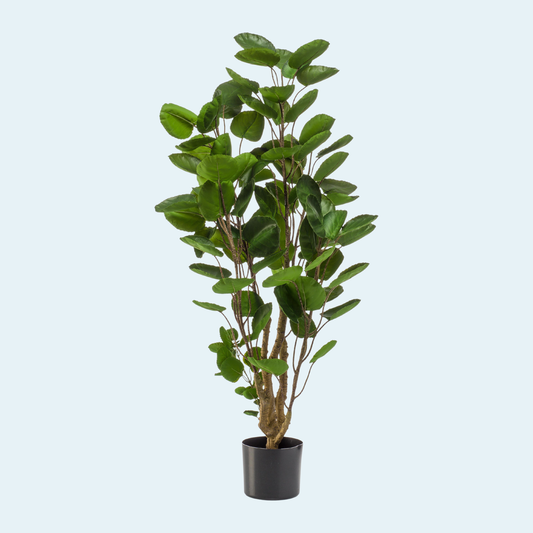 Kunstigt Polyscias Aralia træ 105 cm.