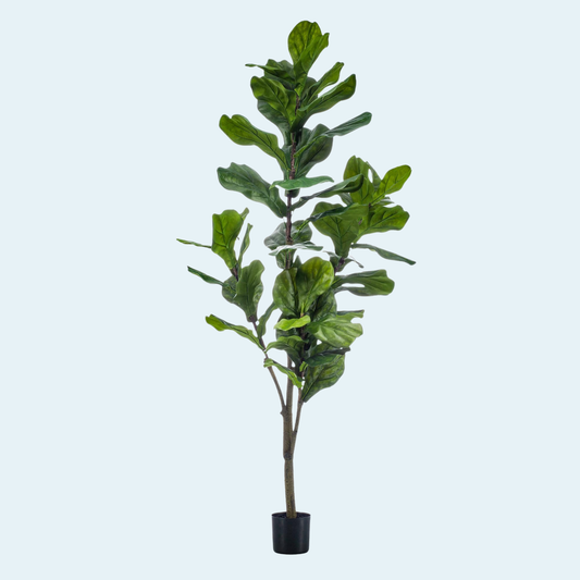 Kunstigt Ficus Lyrata, violinfigen plante 150 cm.