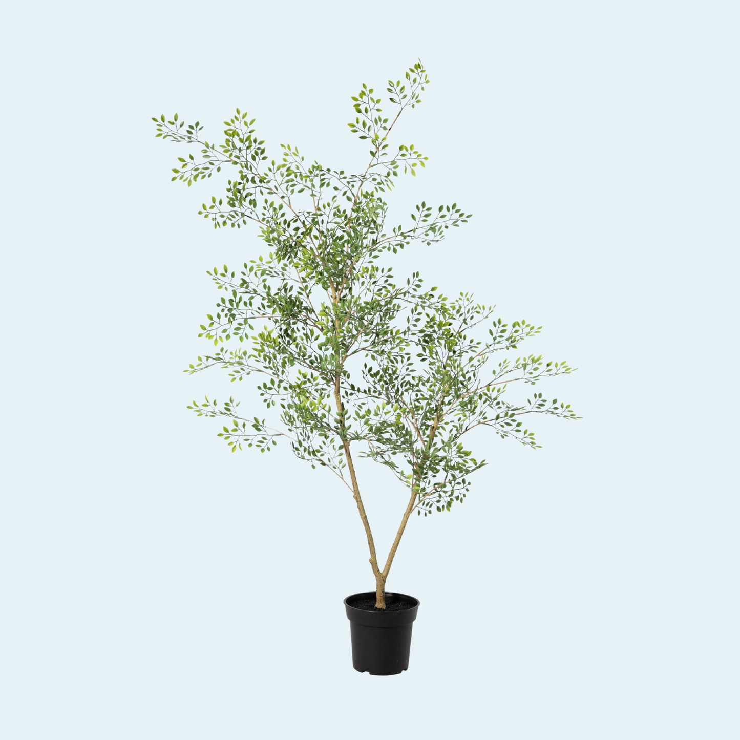 kunstig-bucida-træ-plante